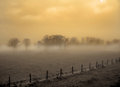 Golden Slumber