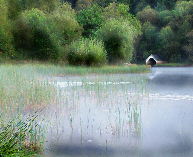 Mist on Loch Chon