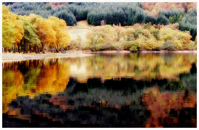 Voil reflections