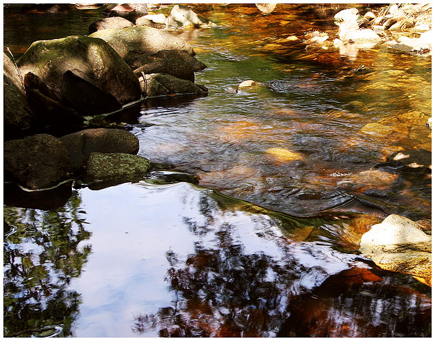 Highland rockpool