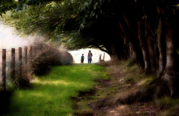 September stroll (Colour version)
