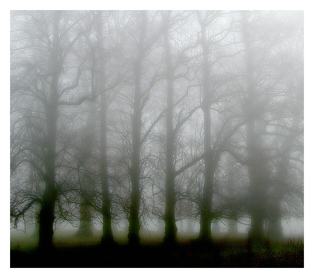 Mist-efying