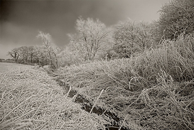 Wintry Blanket