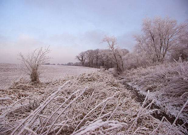 Wintry scene (CV)