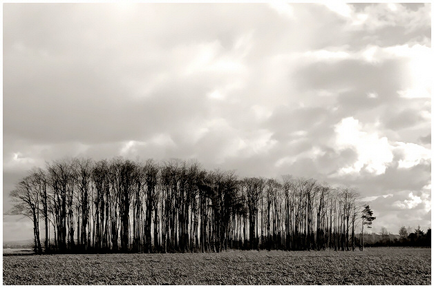 Storm brewing