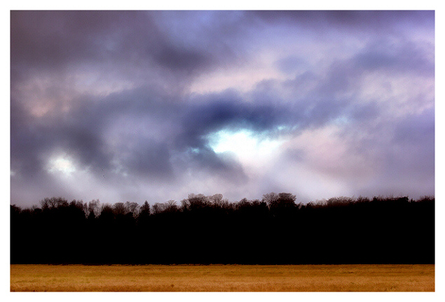 Winter Pastels.