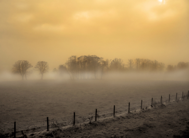 Golden Slumber