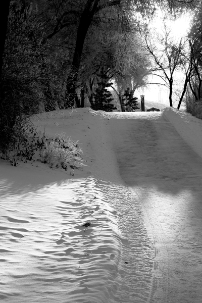 frosted-walk.jpg