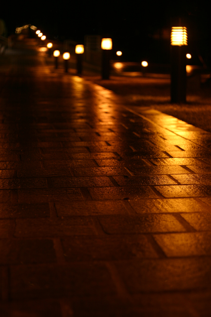 night-walk.jpg