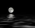 Dark Tide