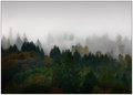 ' . substr('//images.dpchallenge.com/images_portfolio/10000-14999/14620/120/597484.jpg', strrpos('//images.dpchallenge.com/images_portfolio/10000-14999/14620/120/597484.jpg', '/') + 1) . '