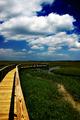 Boardwalk