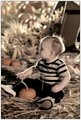 The Littlest Pumpkin