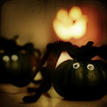 Skeery Spiders