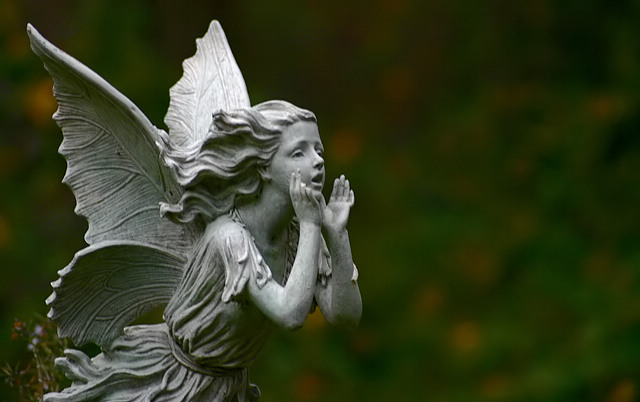 Fairy Revisited