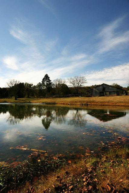 A Fall Afternoon