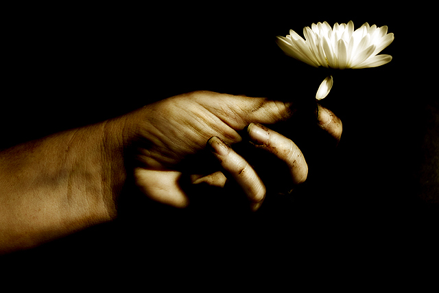 Death and Life