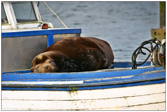 Lazy Day at Sea
