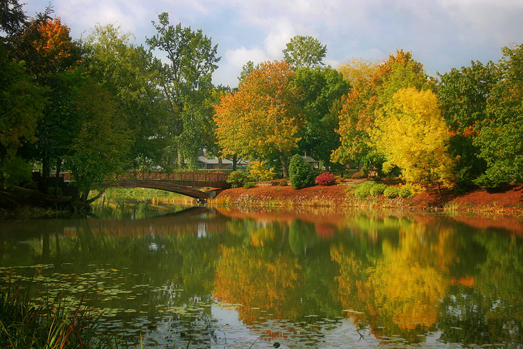 A Touch of Autumn