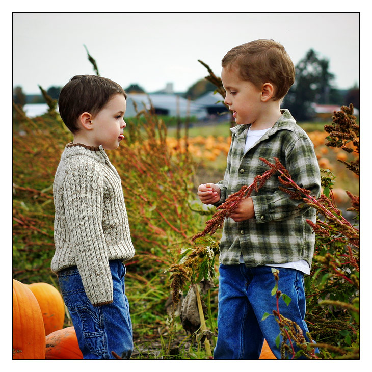 Brotherly Love?