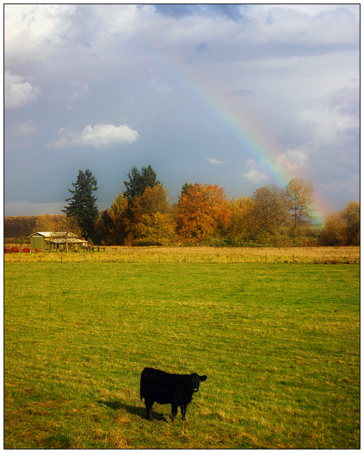 Rainbow Outtake