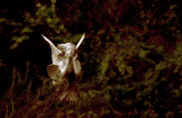 Fairy of the Forest