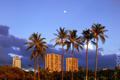 Palm Trees at Sunset