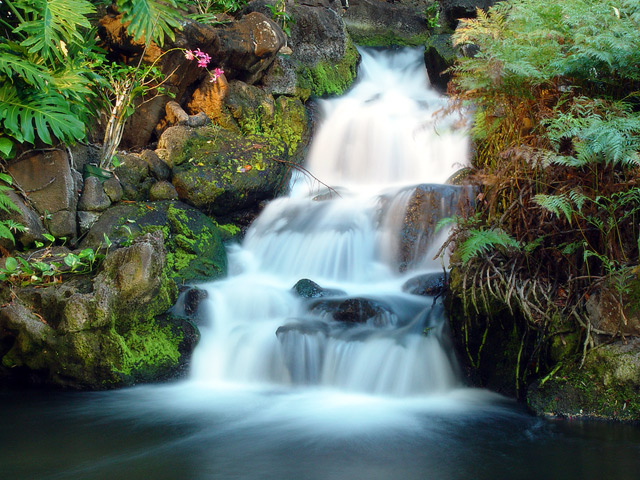 Waterfall at the Hilton Hawaiian Village