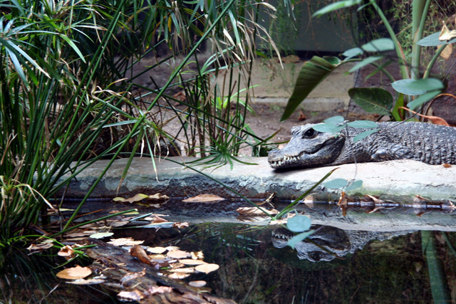 Zoo15Oct05 (44).jpg