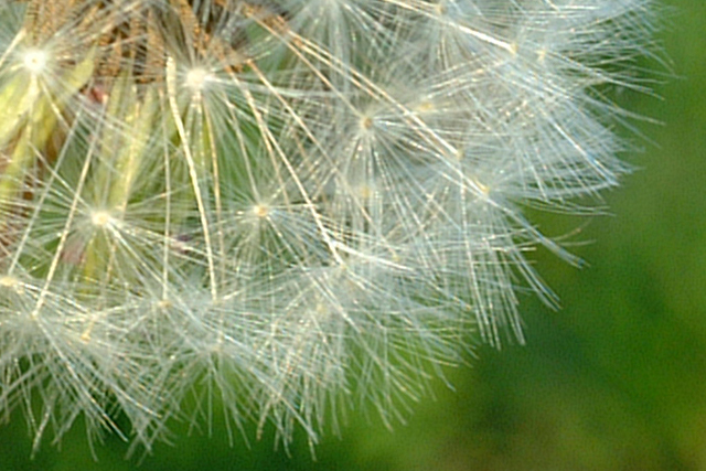 DSCF0041-3.jpg