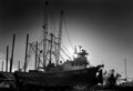 Dry Dock.jpg
