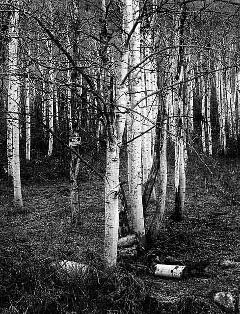 No Hunting B&W.jpg