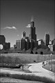 Sears Tower from Museum Campus