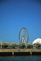 Navy Pier Ferris Wheel