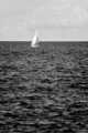 Sailboat