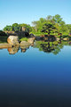 Osaka Garden Reflection