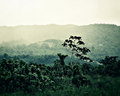 Misty Belize