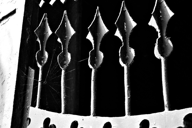 The Gate at Mercury Paw