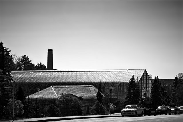 Krohn Conservatory