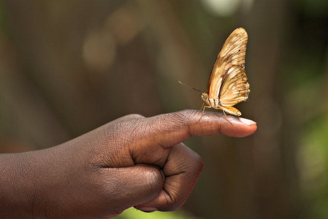 Julia on Finger