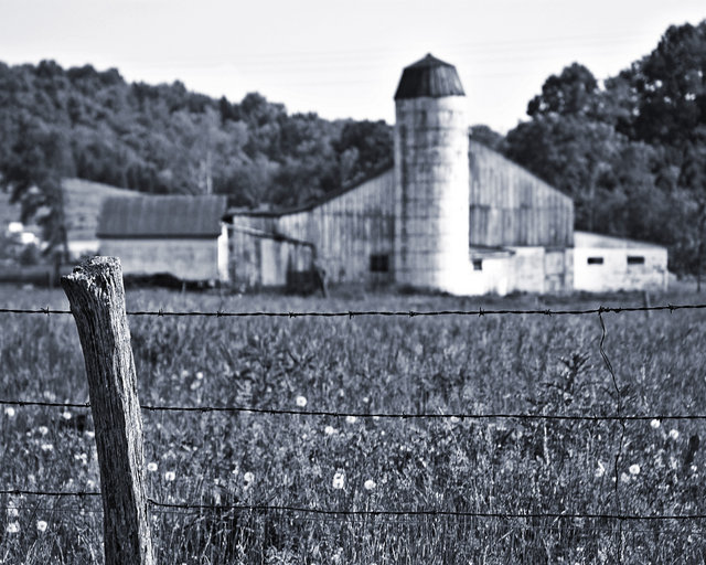 Barn and Fence