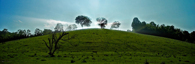 Top of the Hill