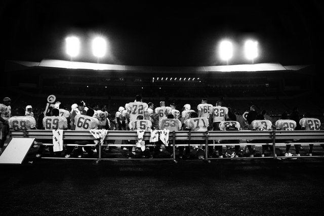 The Bench