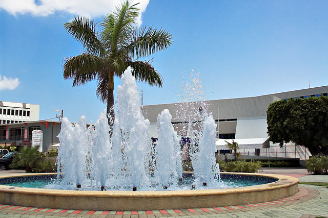 Tropical Fountain