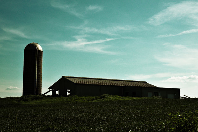 Farm