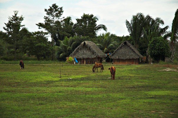 n38300016_31605947_9177.jpg