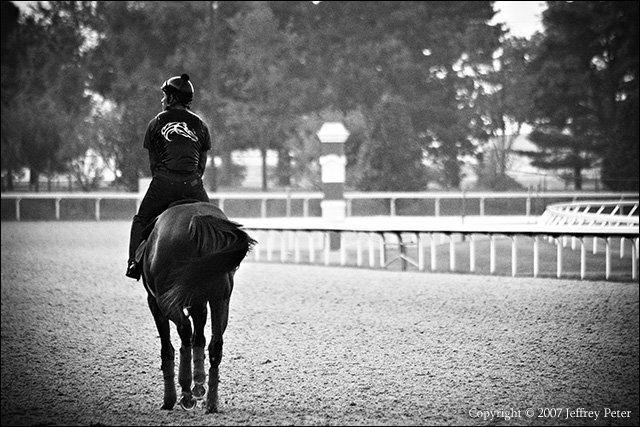 keeneland_morning_workout.jpg