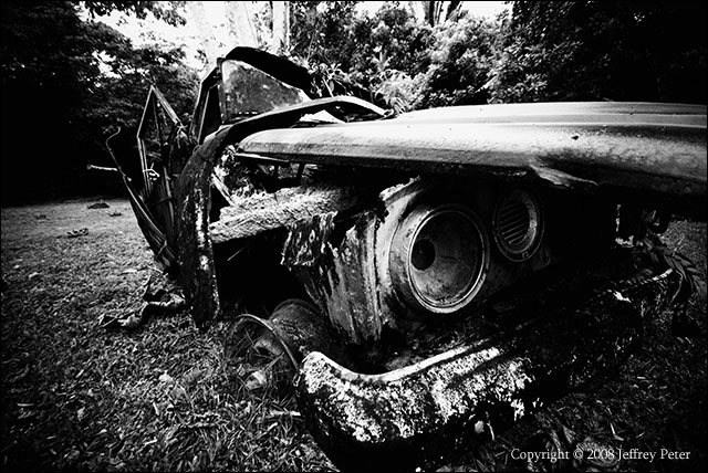 abandoned_rainforest_car.jpg