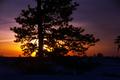 Northwest Sunrise