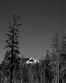 Donner Pass t.jpg